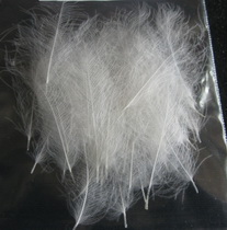 CDC feathers white md 30 ps 